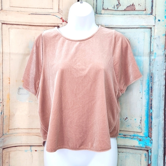 Madewell Velvet Butterfly Top in Wisteria - Picture 2 of 8